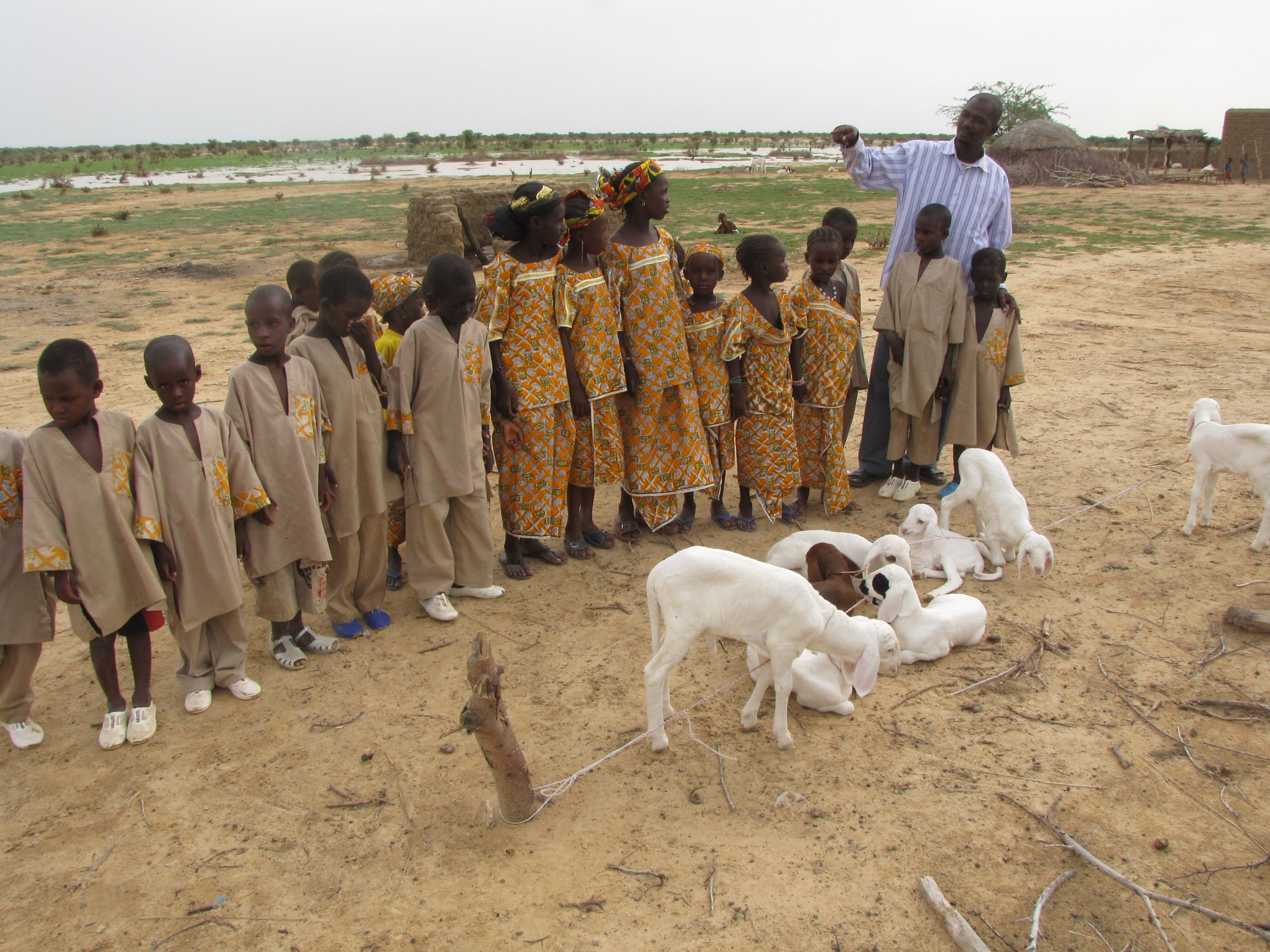 chevre et moutons pour l'ecole.jpg