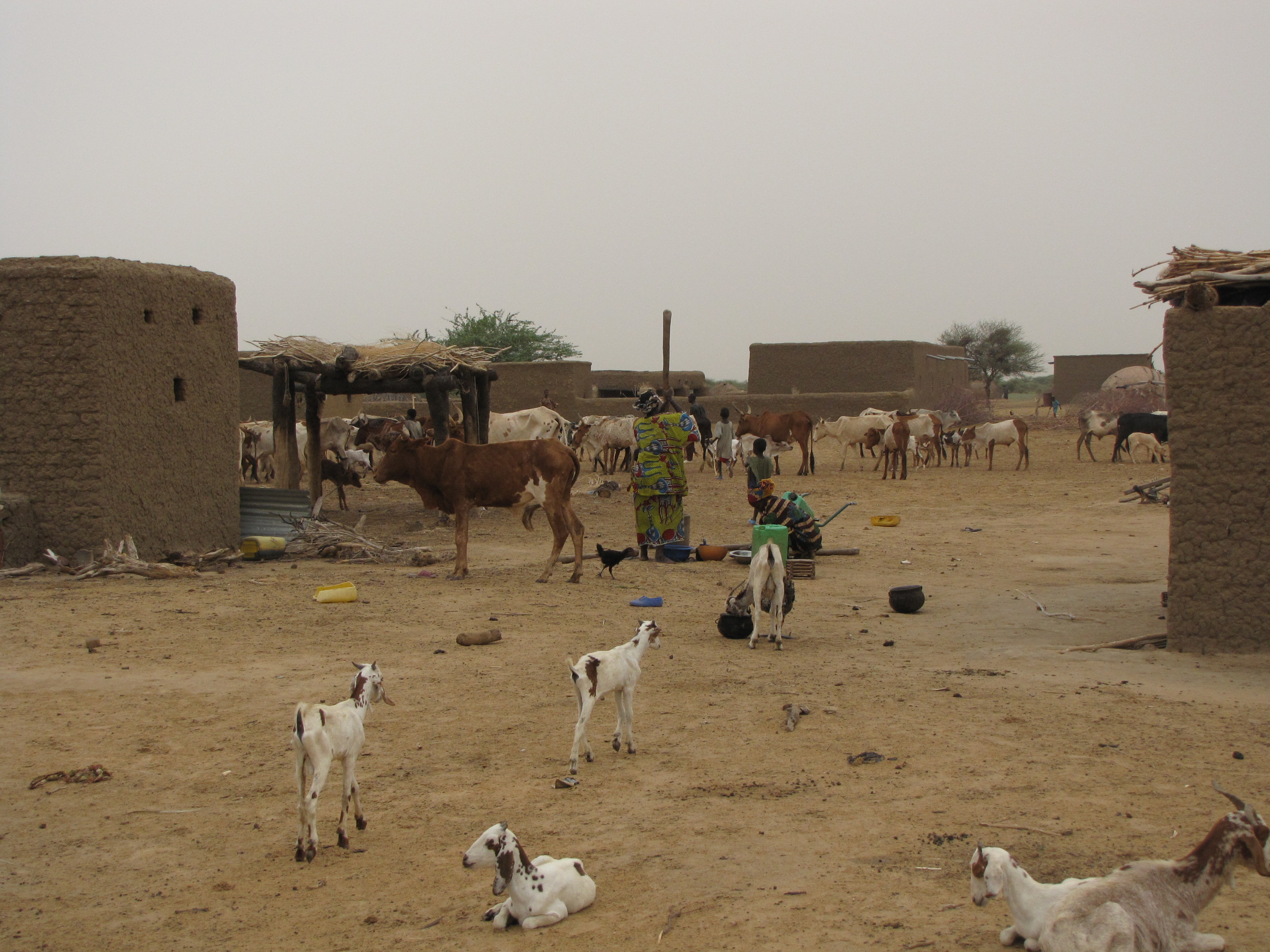 habitations de Dorool.jpg