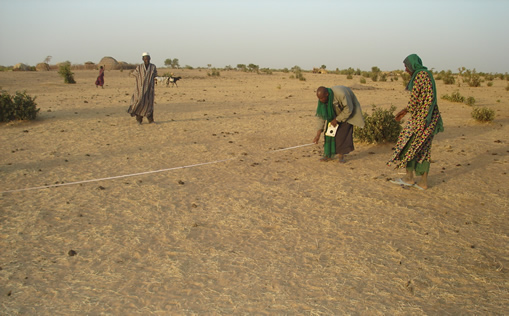 Emplacement de l&rsquo;école