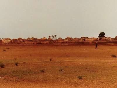 images/Diona - horizonb.jpg